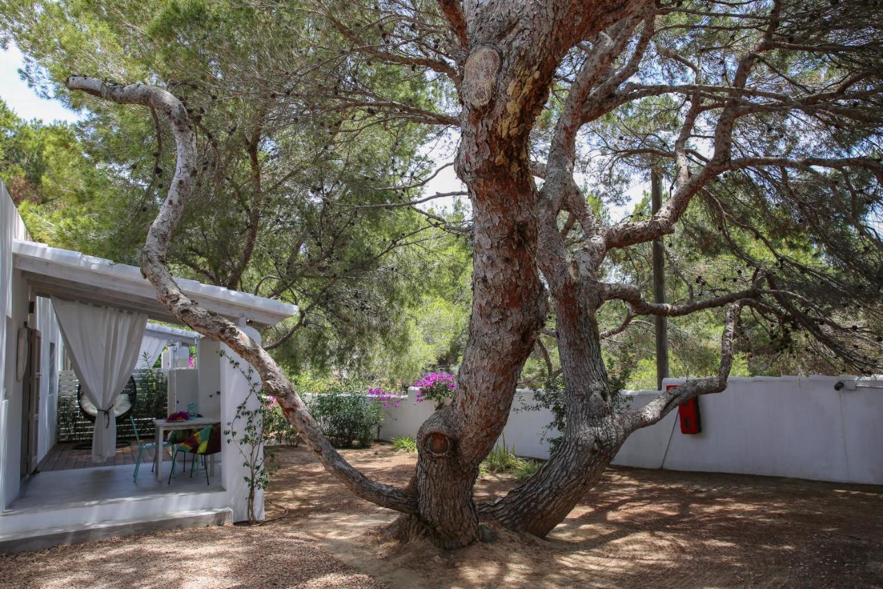 La Hacienda Aparthotel San Ferrán de ses Roques Exterior foto